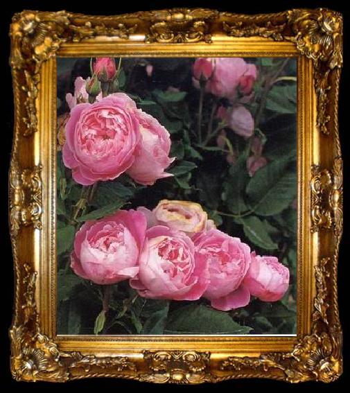 framed  unknow artist Still life floral, all kinds of reality flowers oil painting  330, ta009-2
